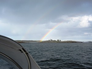 IMG_0217