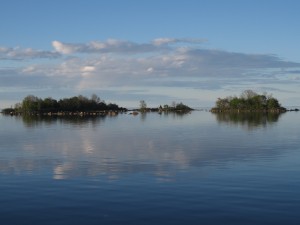 IMG_0406