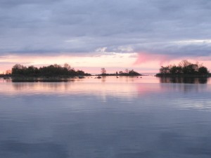 IMG_0413