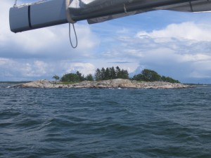 IMG_1346