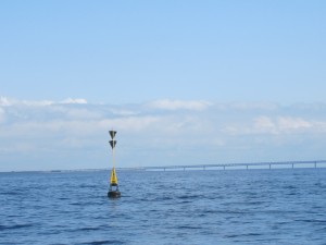 IMG_0069
