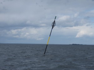 IMG_0423