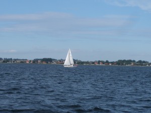 IMG_1989